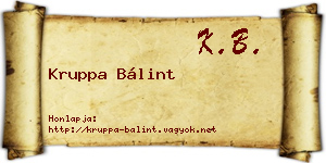 Kruppa Bálint névjegykártya